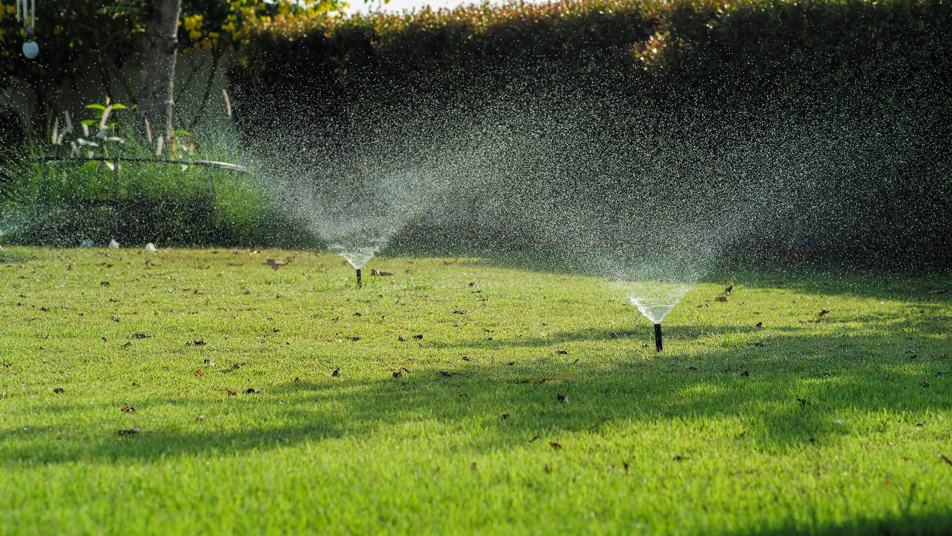 Irrigation__selective-focus-on-the-sprinkle-watering-around-th-2026-01-06-09-22-58-utc
