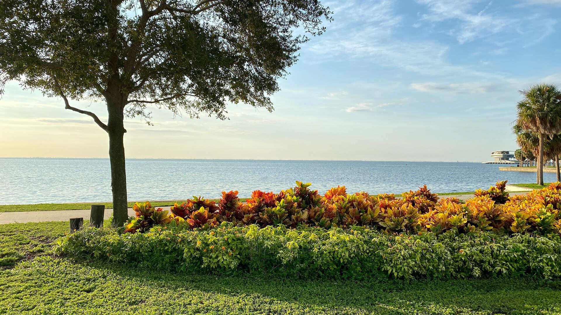 overlooking-the-ocean-2026-01-07-06-28-35-utc